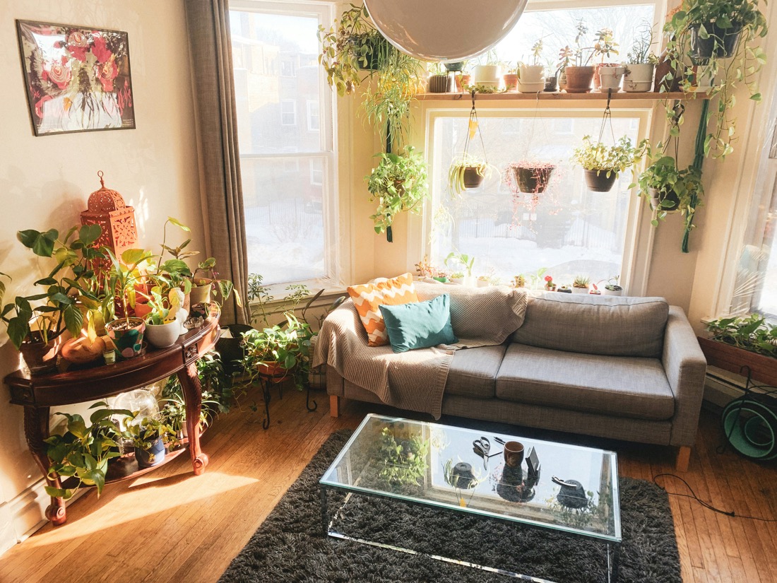 A sunny, plant-filled living room