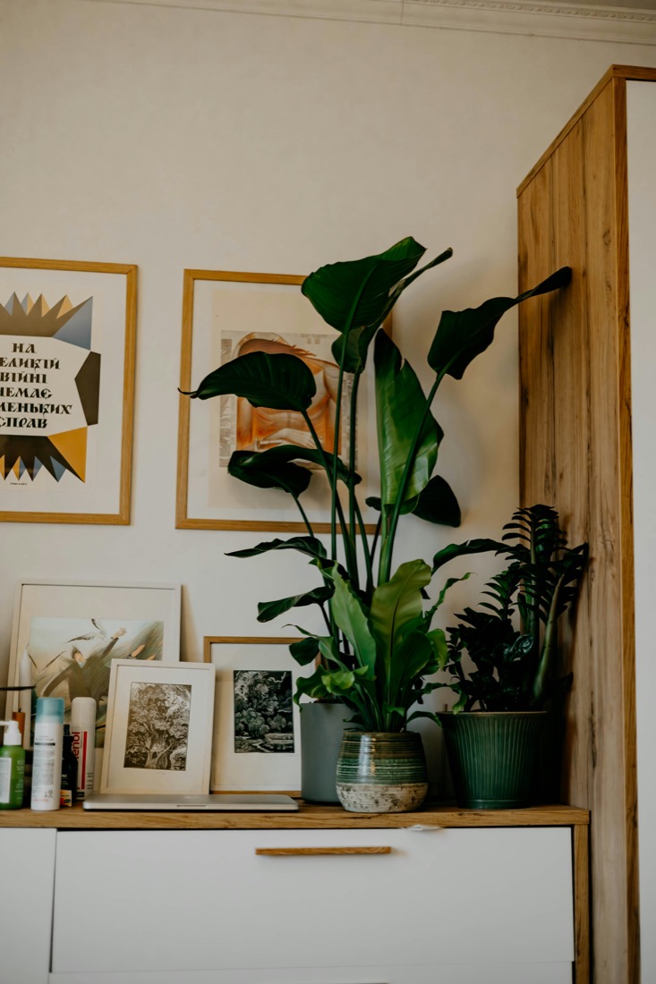 A styled shelf with art, books and plants
