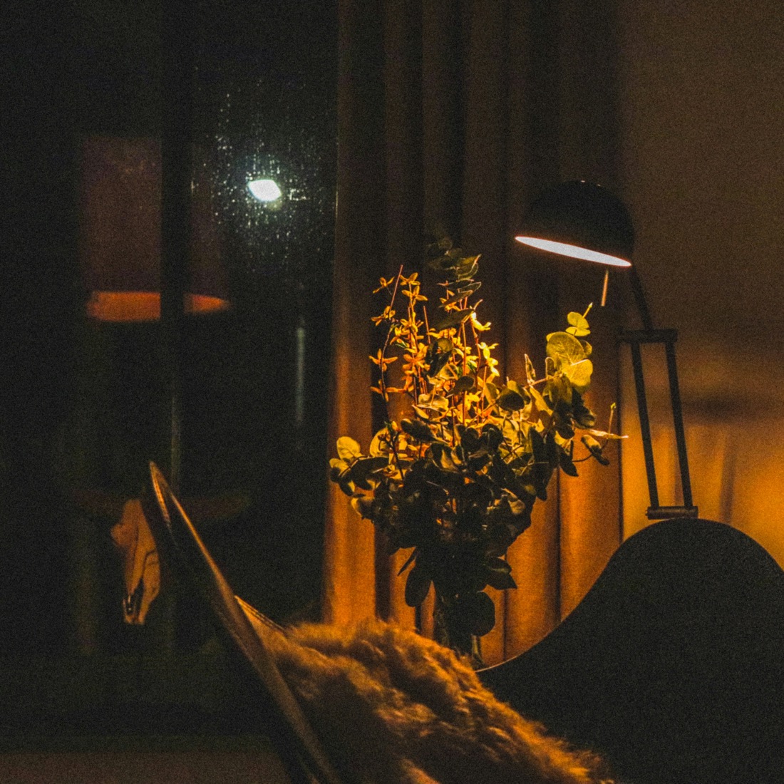 A warm lamp beside dried flowers at night