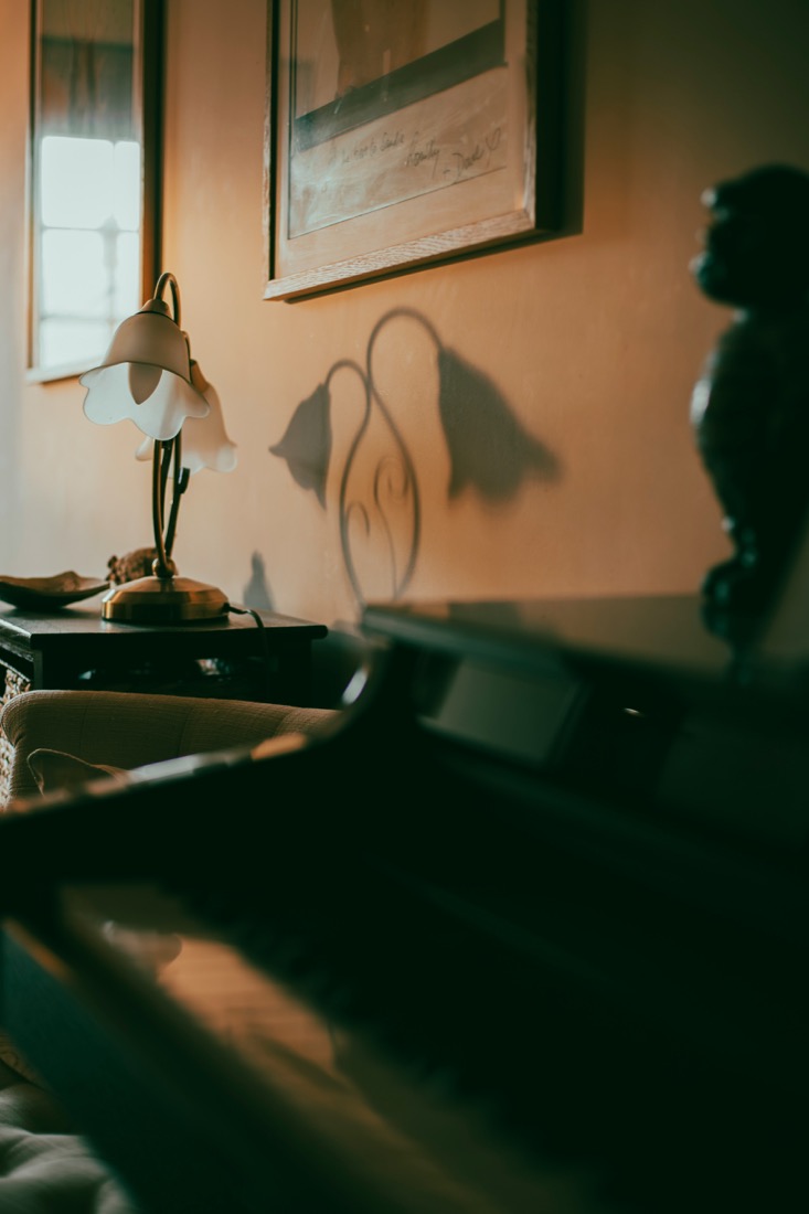 A flower-shaped lamp lighting a quiet corner